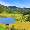 bac ha sapa