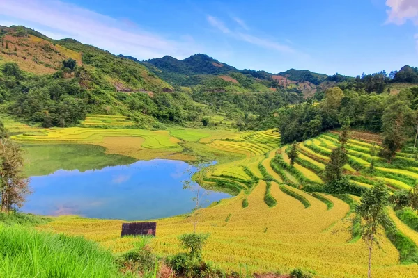 bac ha sapa
