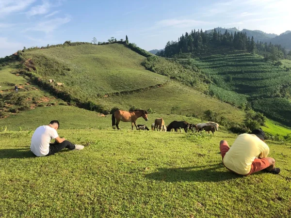 1 Day Tour Bac Ha from Sa Pa: Sunday Market & Hoang A Tuong Palace