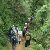1 Day Trekking Fansipan: Conquer the Roof of Indochina
