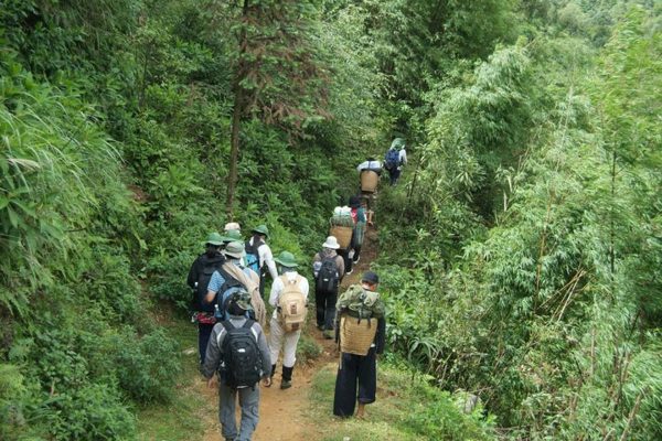 1 Day Trekking Fansipan: Conquer the Roof of Indochina