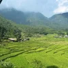1 Day Trekking SaPa: Y Linh Ho, Lao Chai, Ta Van Daily Tour