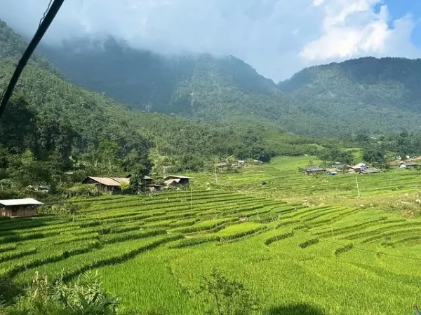 1 Day Trekking SaPa: Y Linh Ho, Lao Chai, Ta Van Daily Tour