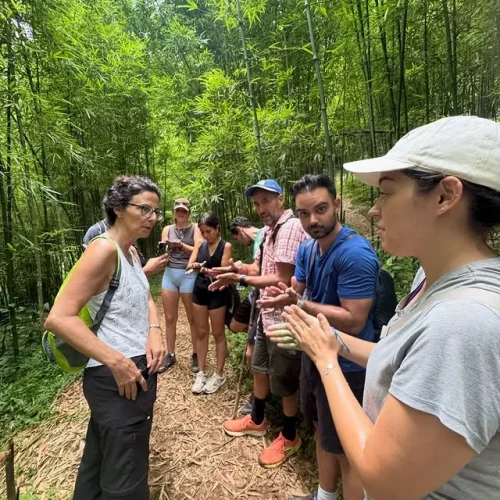 1 Day Trekking SaPa: Y Linh Ho, Lao Chai, Ta Van Daily Tour