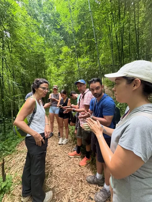 1 Day Trekking SaPa: Y Linh Ho, Lao Chai, Ta Van Daily Tour