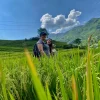 2 Days Hau Thao Tour: Cloud Hunting, H’mong Villages & Local Homestay