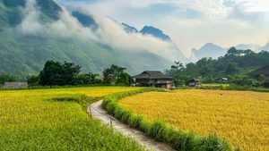 Ha Giang Weather Guide 2026