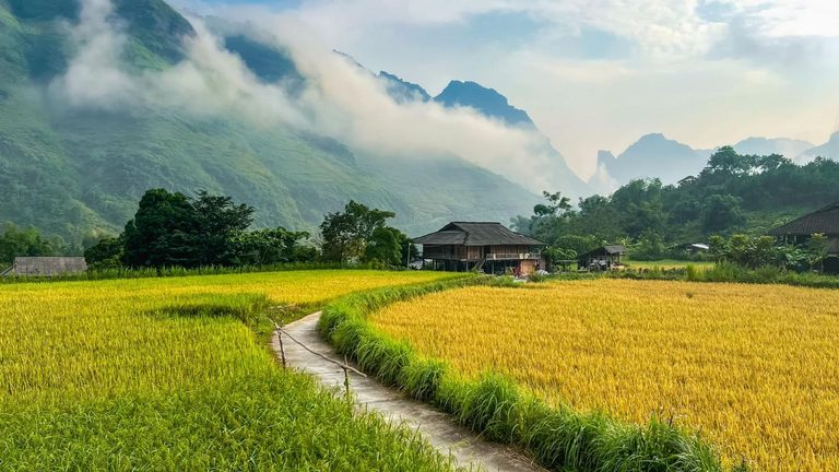Ha Giang Weather Guide 2026